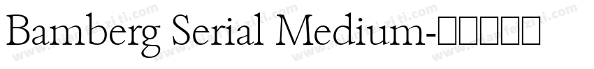 Bamberg Serial Medium字体转换